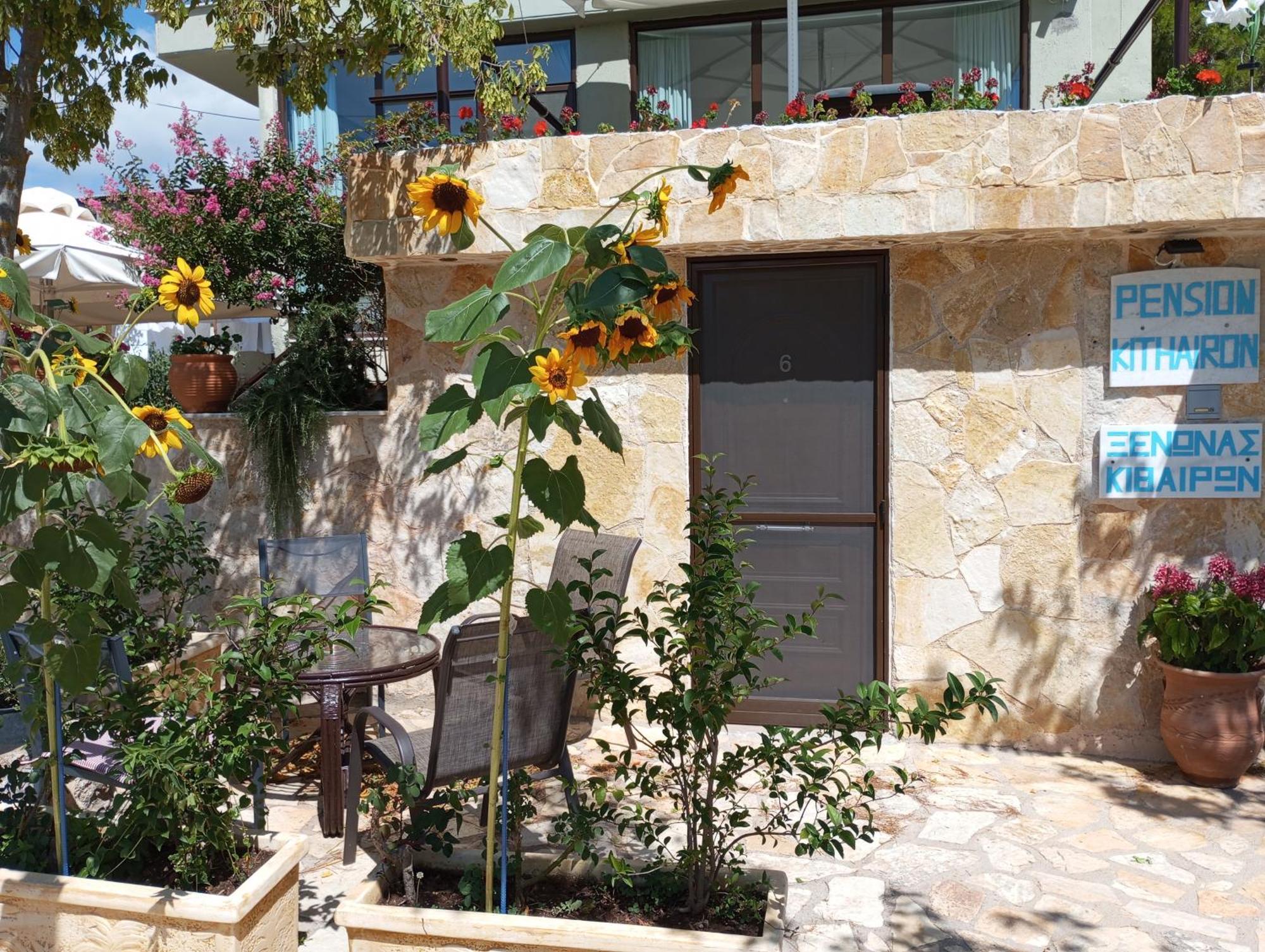 Xenonas Κithαiron Hotell Vília Exteriör bild
