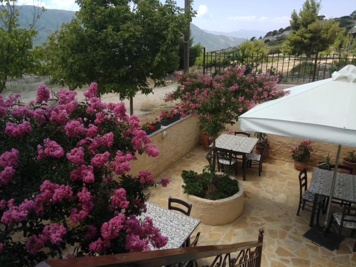 Xenonas Κithαiron Hotell Vília Exteriör bild