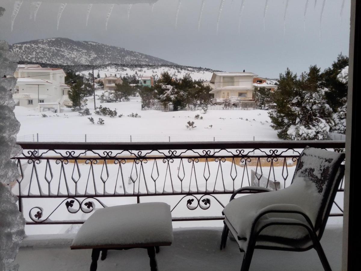 Xenonas Κithαiron Hotell Vília Exteriör bild