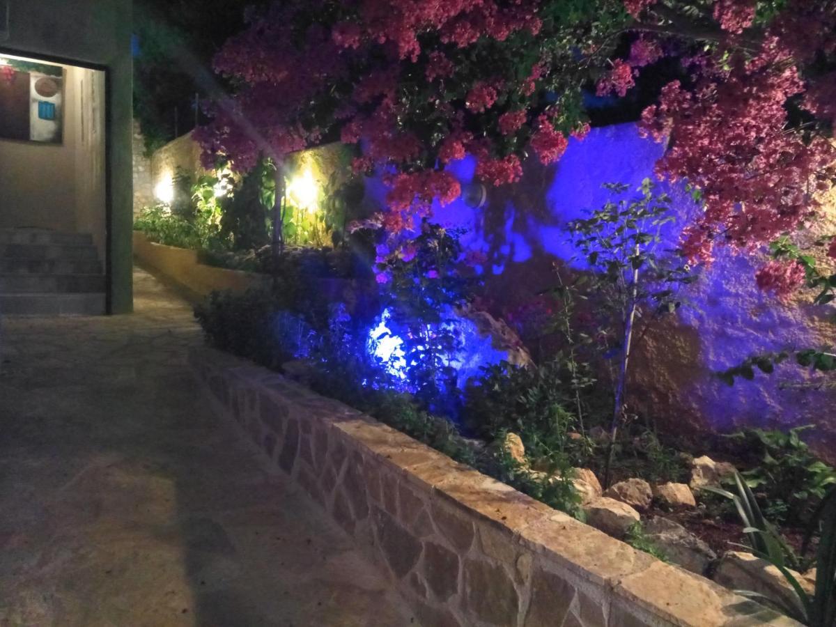 Xenonas Κithαiron Hotell Vília Exteriör bild